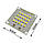 Світлодіодна матриця 10W 27-36V 1400Lm 5500К яскравий ALFA, чіп BRIDGELUX, фото 2