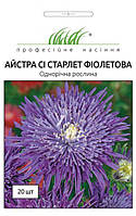 Айстра Сі Старлет фіолетова, 20шт.