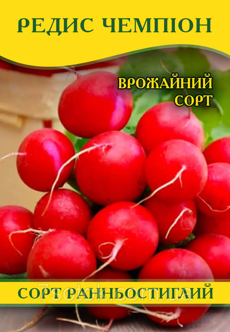 Насіння редиски Чемпіон, 100г