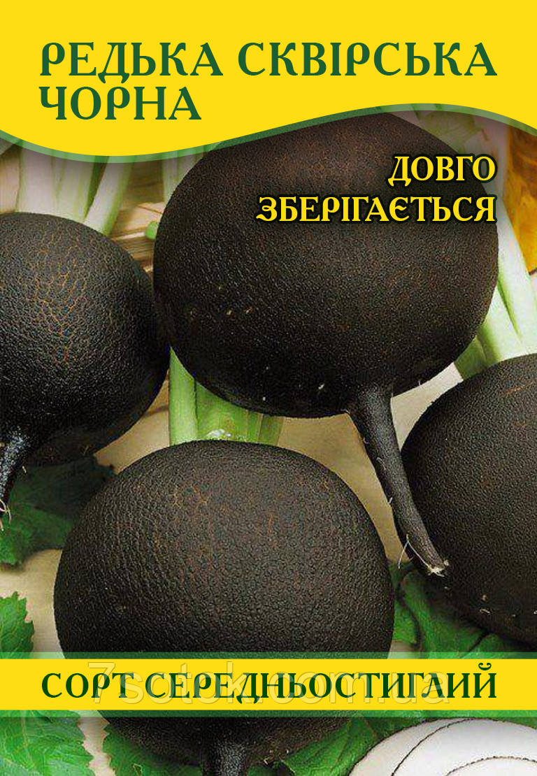 Насіння редьки Сквирська Чорна, 1кг