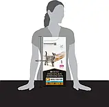Сухий дієтичний корм PRO PLAN VETERINARY DIETS NF Renal Function Advanced Care для дорослих котів 1.5 кг, фото 6