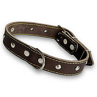 Ошейник кожаный Canem для собак украшенный металлофурнитурой Коричневый, 30 мм, обхват шеи 42 - 55 см