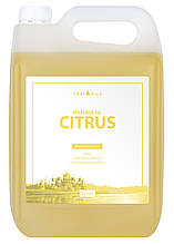 Професійне масажне масло «Citrus» 5000 ml, 7trav