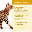 Сухий корм Optimeal для дорослих кішок - курка, 200г, фото 5