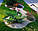 Бордюр садовый пластиковый, Экобордюр 10м зелёный, фото 3