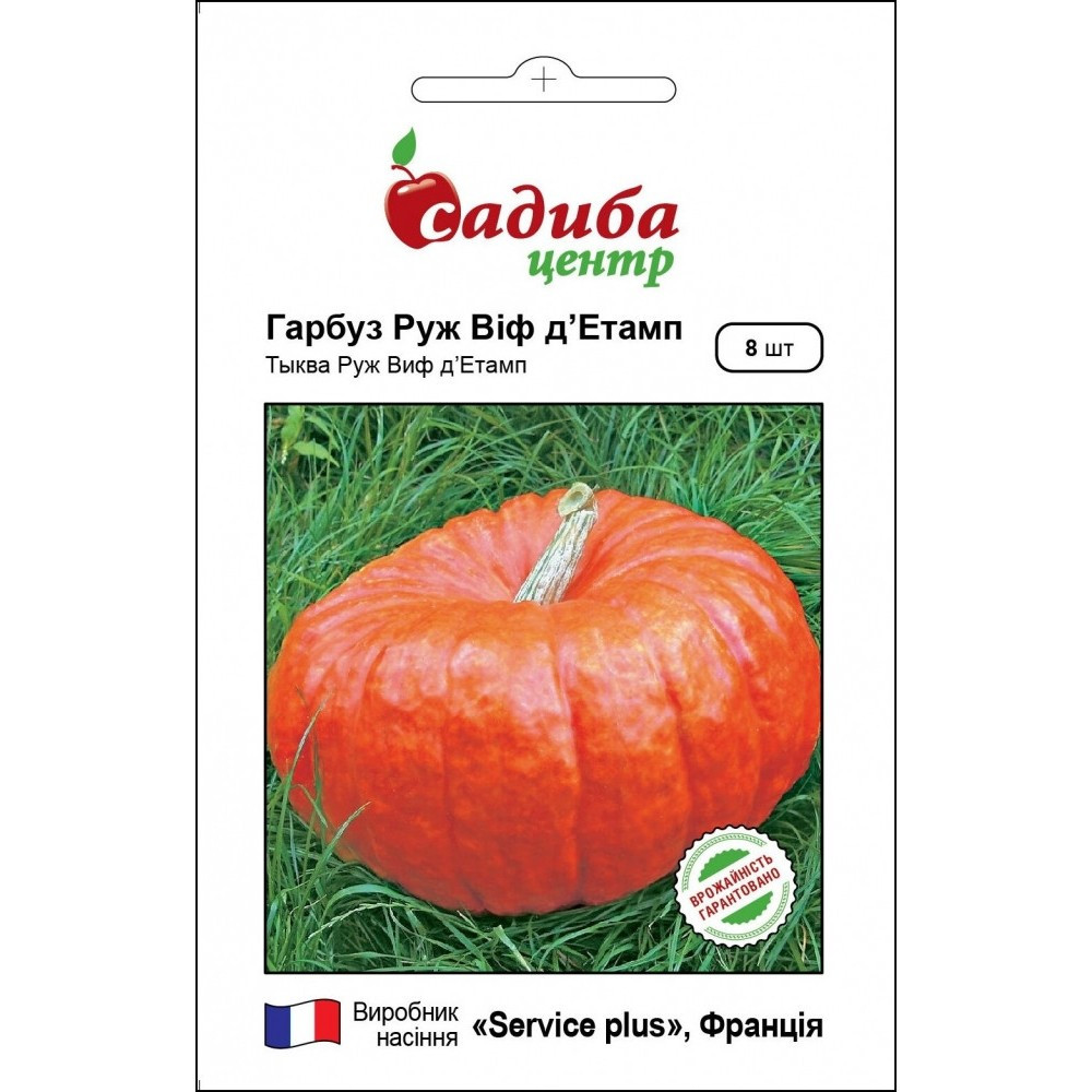 Гарбуз Руж Віф д'Етамп 8шт Садиба Центр, фото 1