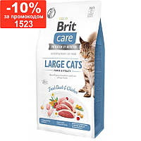 Brit Care(Брит Кеа)Grain-Free -Сухой беззерновой корм с курицей и уткой для взрослых кошек крупных пород 7кг