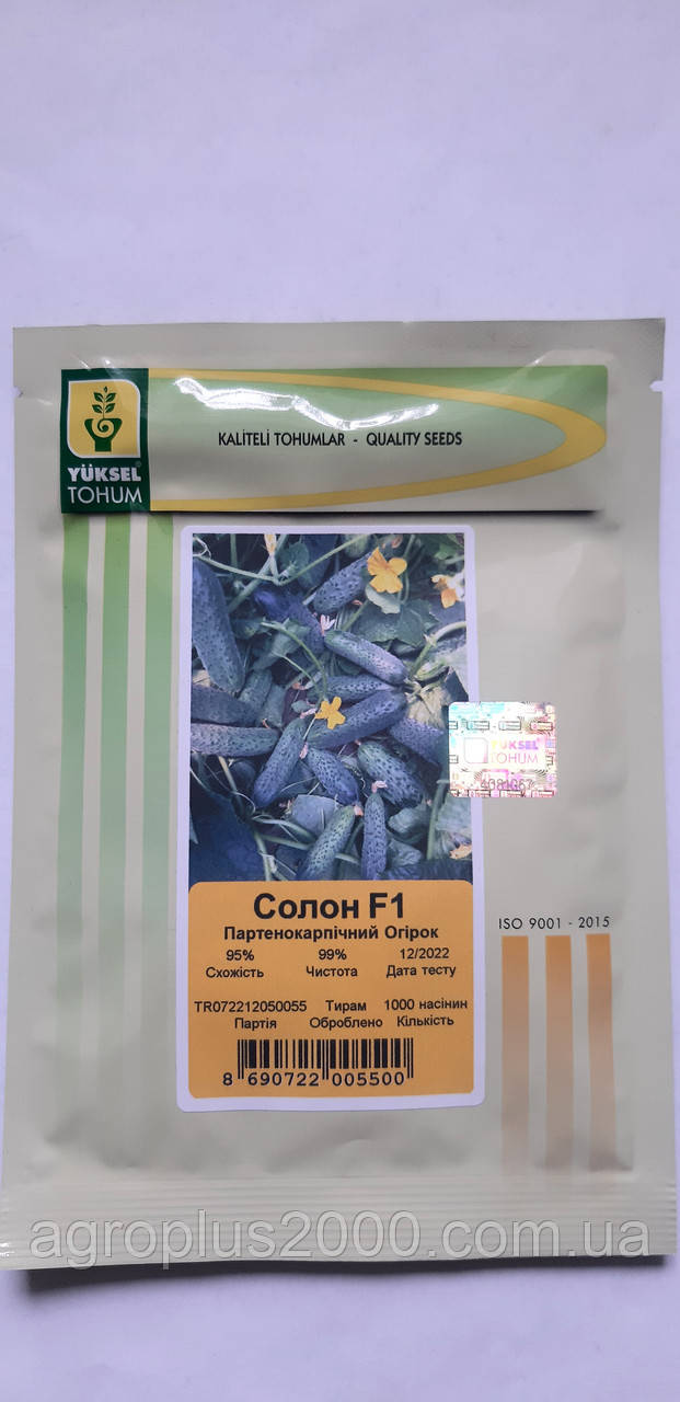 Насіння Огірок самозапильний Солон F1, 1000 насінин Yuksel seeds