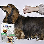 Краплі протикліщові на холку для собак, Суперіум Невертікс, 10-20 кг / Засіб від ектопаразитів собак, фото 3