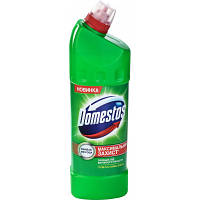 Рідина для чищення ванн Domestos Хвойна Свіжість 1 л (8717163094891)