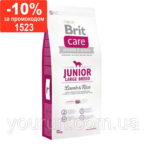 Brit care junior large breed lamb & rice hotsell