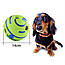 Іграшка інтерактивна для собак Хіхикаючий м'яч WOOPY BALL 14 см для тренувань спорту домашніх тварин, фото 7