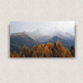 Інтер'єрна картина-постер на стіну Гірський мінімалізм 40*20 Орігамі OP 5252 Маленька