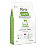 Brit Care (Брит Кеа) Grain-free Adult Large Breed Salmon з лососем для дорослих собак великих 1кг, фото 3