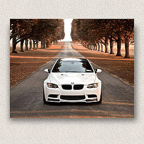 Інтер'єрна картина-постер на стіну Біла БМВ 30*20 Орігамі OP 5268 Маленька