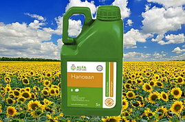 Інсектицид Наповал 5 л Alfa Smart Agro