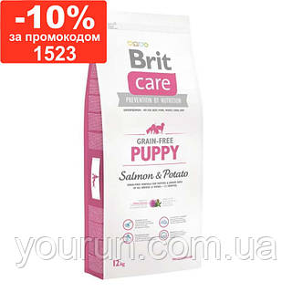 Brit care puppy salmon & potato sale