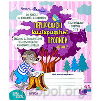 Навчальний посібник "Першокласні каліграфічні прописи до букваря Вашуленка частина 2" Федієнко