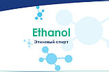 AB Antibacterial Cleaner AquaDoctor універсальний засіб Аквадоктор для очищення поверхонь, фото 10