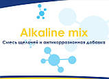 CW CleanWaterline AquaDoctor засіб для очищення ватерлінії басейну та СПА Крок 1 Аквадоктор, 1 л, фото 8