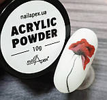 Акрилова пудра прозора Nail apex, 10г, фото 2