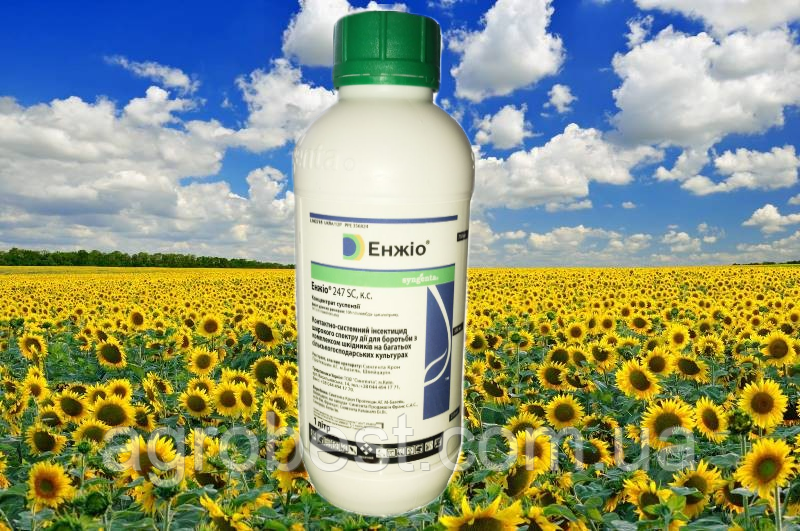 Инсектицид Энжио 1 л: продажа, цена в Киеве. Инсектициды от "ТОВ ...