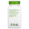 Натуральна добавка Nature's Way Gotu Kola Herb 950 mg, 180 вегакапсул, фото 5
