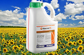 Протравник Максим XL 035- 5 л Syngenta