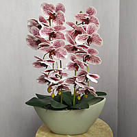 Искусственная латексная орхидея VIP в бежевом керамическом кашпо на две ветки бордовый градиент
