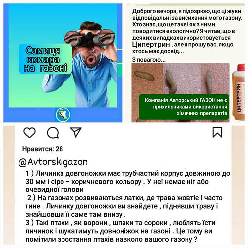 От халепа! Цілий тиждень йдуть дощі, а газон наш сохне.Трясця! І що робити? Чи існує екологично чистий спосіб допомогти газону відновитися?