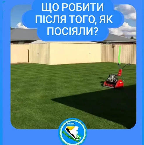 Що робити після посіву газону?