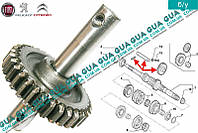 Шестерня ( зубчатое колесо коробки переключения передач ) задняя передача с валом КПП 9684810388 Citroen /