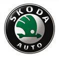 Захисту картера Skoda