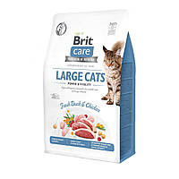 Корм сухий для котів великих порід Brit Care Cat GF Large cats Power & Vitality 400 г (качка та курка)