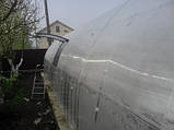 Теплиця з полікарбонатом "Файна" 3х10 м. з оцинкованої труби 30х20 мм. Полікарбонат тепличний 4 мм., фото 3