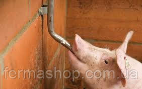 Набор ниппельного поения для свиноматок и хряков от 120 кг из нержавейки - опора не регулируется по высоте - фото 2 - id-p1823118776