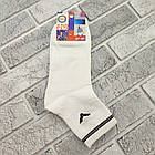 Шкарпетки чоловічі середні весна/осінь р.41-45 асорті SPORT ДУКАТ 30037800, фото 2