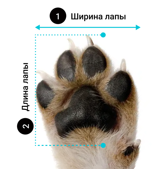 Шкарпетки Pet Style Полоса Сірі