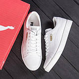 Осінні Весняні чоловічі шкіряні кеди білі модні з натуральної шкіри на осінь *P10-2 б*, фото 3