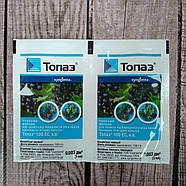 Фунгіцид Топаз 3 мл, фото 3