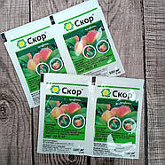 Фунгіцид Скор 2 мл, фото 3