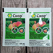 Фунгіцид Скор 2 мл, фото 4