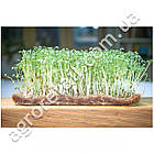 Льон-джутовий килимок для вирощування мікрозелені 1 м, фото 2