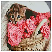 Алмазна вишивка Котик у кошику, 50х50 см, на підрамнику