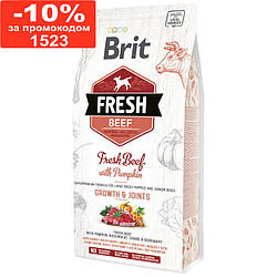 Brit Fresh (Брит Фреш) BEEF & PUMPKIN PUPPY LARGE Корм для цуценят великих порід з яловичиною і гарбузом, 2.5 кг