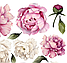 Набір вінілових міні наклейок Акварельні біло-рожеві півонії від 10 до 20 см наклейки квіти матова, фото 4