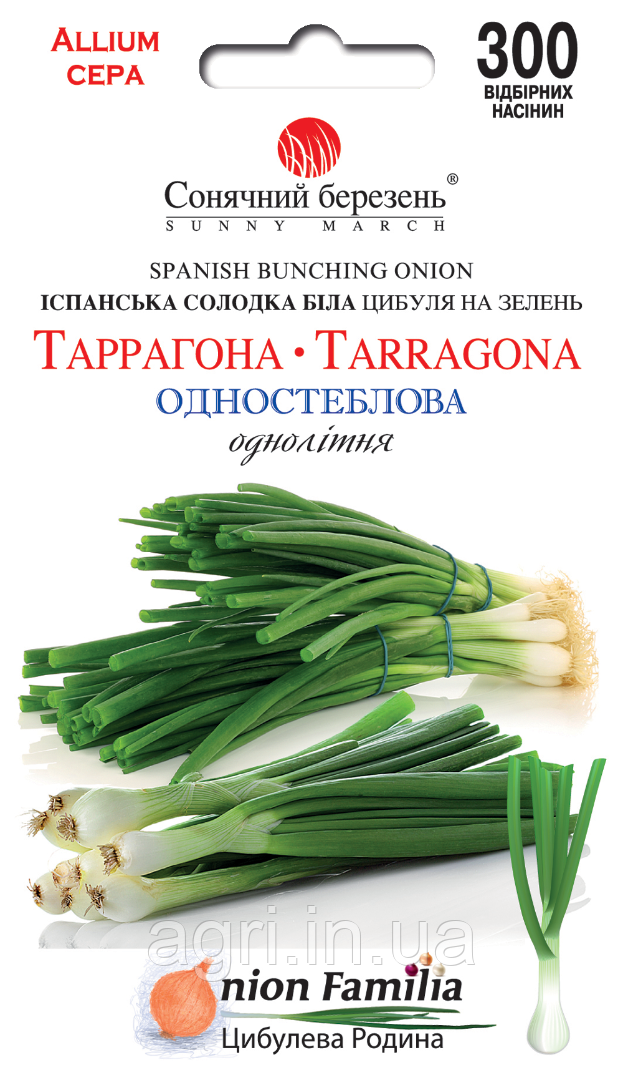 Цибуля Іспанська солодка Таррагона, 300шт.