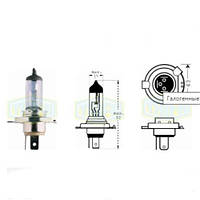 Лампа автомобільна Галогенна лампа для фари Trifa H4 12V 60/55W Xenon blue