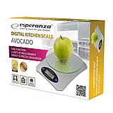 ESPERANZA EKS006 Kitchen Scale Avocado  Baumar - Завжди Вчасно, фото 2