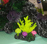 Декорація для акваріума Корал міні 8*5*8 cm 1933EP, фото 2